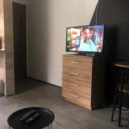 דירה Mini Apartman V Jizerskych Horach יאבלונק נאד ניסו