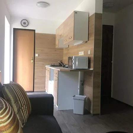 דירה Mini Apartman V Jizerskych Horach יאבלונק נאד ניסו